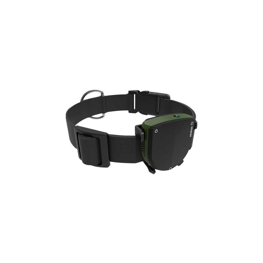 Pet-Tracker
