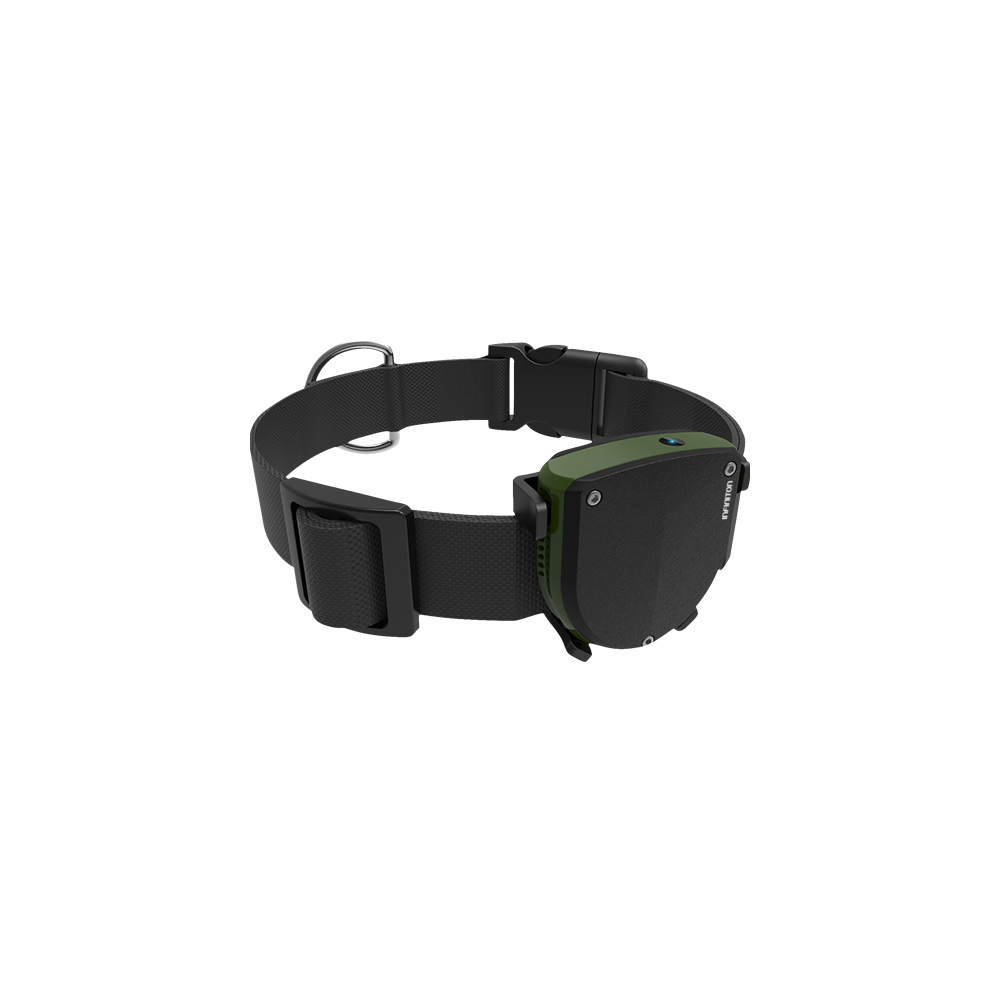Pet-Tracker